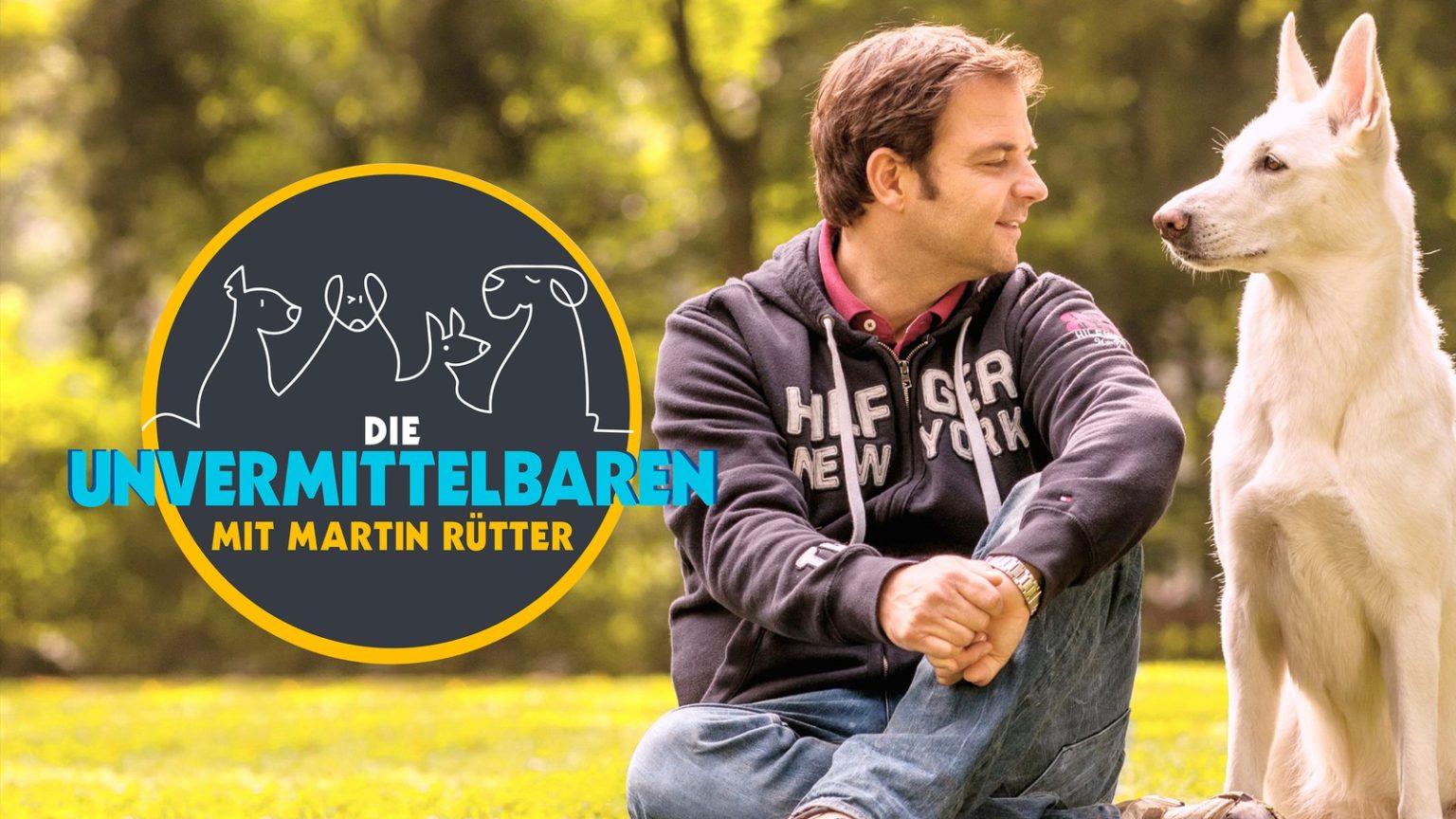 Die Unvermittelbaren mit Martin Rütter - Die Unvermittelbaren Mit Martin Ruetter 1536x864
